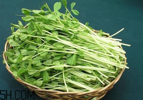 女性吃什么能瘦臉？能瘦臉的食物有哪些？