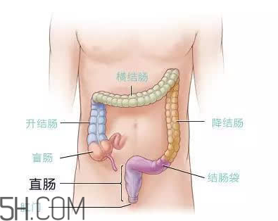 宿便有什么危害？如何清除宿便？