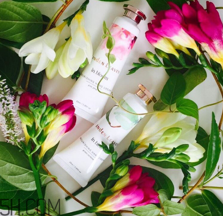 linden leaves香氛護手霜好用嗎？laura ashley護手霜好用嗎？