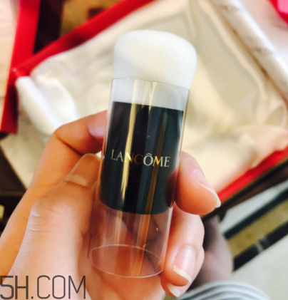 蘭蔻菁純氣墊粉底液110號(hào)色適合黃皮嗎？真人試色