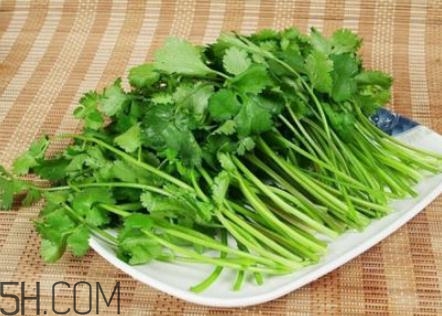 香菜根煮水怎么煮？香菜根煮水喝幾天見效？