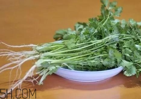 香菜根煮水能減肥嗎？香菜根煮水能天天喝嗎？