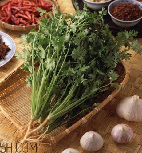 香菜根煮水能減肥嗎？香菜根煮水能天天喝嗎？