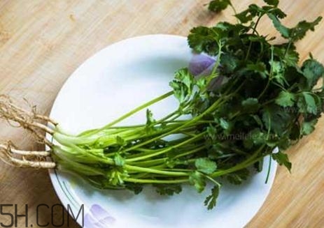 香菜根煮水能減肥嗎？香菜根煮水能天天喝嗎？