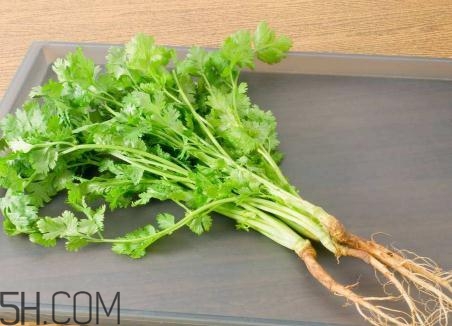 香菜根煮水能美白嗎？香菜根煮水能祛斑嗎？