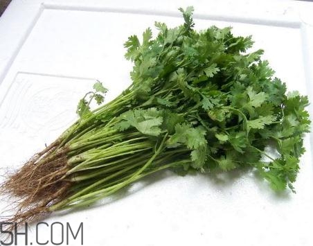 香菜根煮水能美白嗎？香菜根煮水能祛斑嗎？