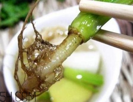 香菜根煮水能美白嗎？香菜根煮水能祛斑嗎？