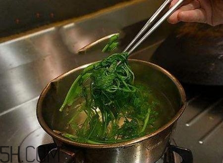 香菜根煮水能退燒嗎？香菜根煮水能治咳嗽嗎？