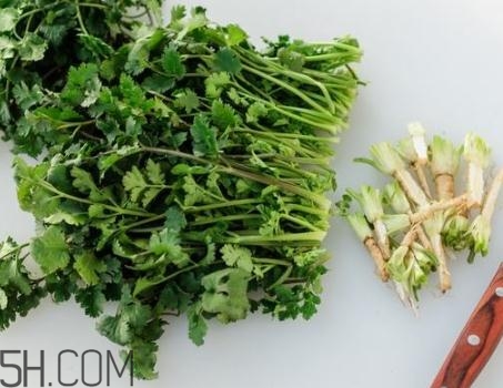香菜根煮水能退燒嗎？香菜根煮水能治咳嗽嗎？