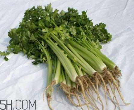 香菜根煮水能退燒嗎？香菜根煮水能治咳嗽嗎？