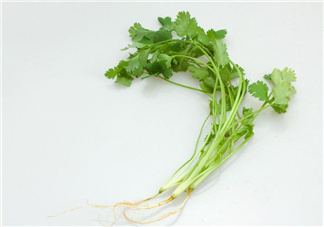 香菜根煮水能治濕疹嗎？香菜根煮水孕婦能喝嗎？