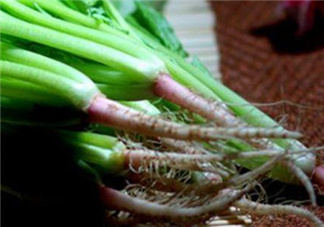 香菜根煮水能美白嗎？香菜根煮水能祛斑嗎？