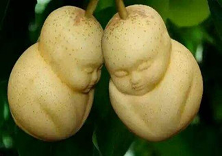 女人吃人參果有哪些好處？人參果的營(yíng)養(yǎng)價(jià)值是什么？