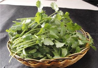 香菜根煮水能減肥嗎？香菜根煮水能天天喝嗎？