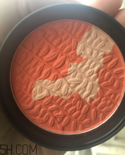 瑪麗黛佳腮紅怎么打？瑪麗黛佳腮紅怎么用？