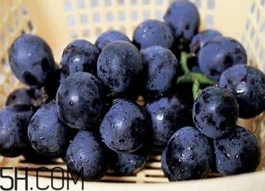 吃黑加侖對(duì)眼睛有什么好處？吃黑加侖要注意什么？