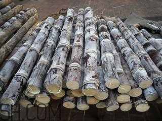 吃完甘蔗多久可以吃柿子？甘蔗和柿子一起吃了怎么辦？