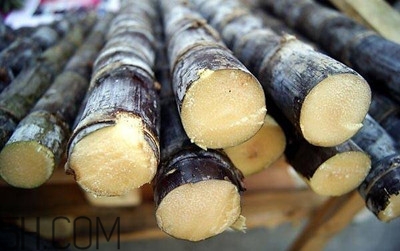 甘蔗和橙子能一起吃嗎？吃完甘蔗可以吃橙子嗎？