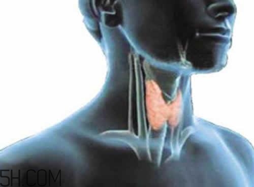 甲狀腺腫大和甲亢的區(qū)別有哪些？甲狀腺腫大適合吃什么食物？