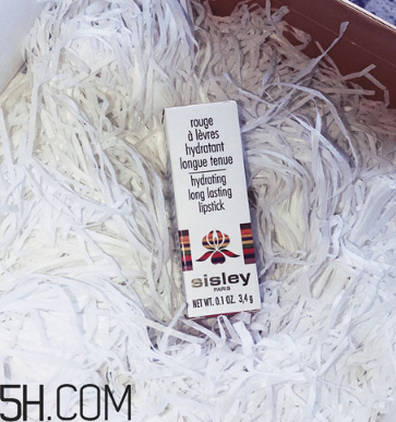 sisley希思黎抗氧保濕唇膏好用嗎？希思黎抗氧保濕唇膏測評