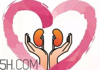 腎不好會(huì)早衰越長(zhǎng)越矮？護(hù)腎千金方早用早好