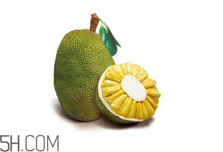 為什么吃菠蘿蜜拉肚子？吃菠蘿蜜拉肚子怎么辦？