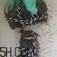 冬天可以吃大閘蟹嗎？冬天怎么吃大閘蟹？