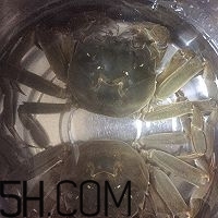 冬天可以吃大閘蟹嗎？冬天怎么吃大閘蟹？
