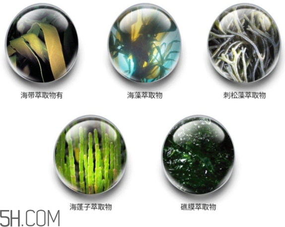 jmsolution珍珠面膜怎么用？jm珍珠珍珠面膜分為三部曲