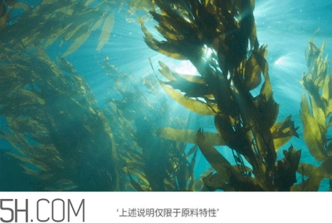 jmsolution珍珠面膜多少錢？jm珍珠面膜好用不過(guò)百元