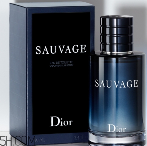 dior迪奧曠野男士淡香水好聞嗎？頻頻斷貨的魅力香水