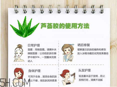 蘆薈膠的功效和作用有哪些？教你蘆薈膠的正確使用方法