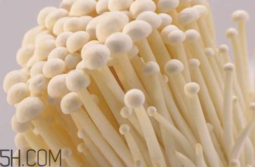 金針菇的食用禁忌有哪些？金針菇四大禁忌