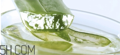 擠痘痘后可以涂蘆薈膠嗎？涂抹維生素e和蘆薈膠的作用