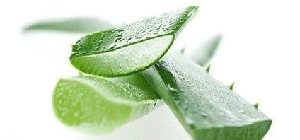嘴唇干裂能用蘆薈膠嗎？鼻子脫皮也可以用蘆薈膠