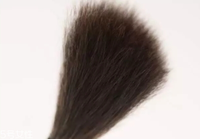 高光刷哪個牌子好？好用到哭的高光刷