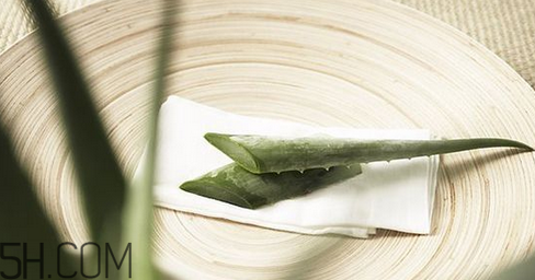 蘆薈膠吃了會怎樣？蘆薈膠的吃法