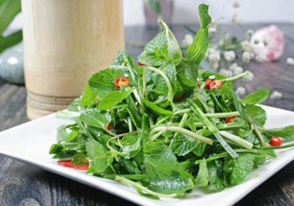 哪些中草藥可以當(dāng)菜吃？最常見(jiàn)的是這三種