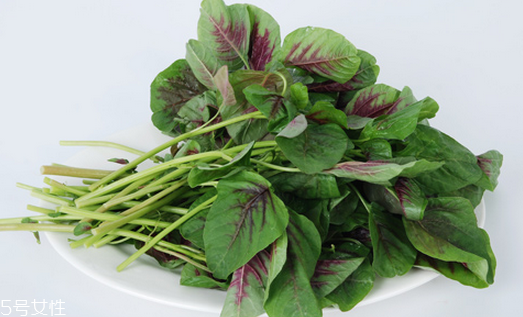 吃莧菜可以減肥嗎？減肥食物熱量排行榜