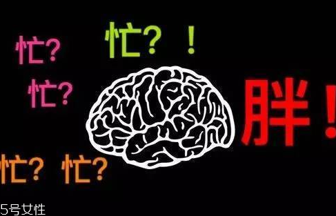 久坐不動上班族如何減肥？越努力工作的人越容易發(fā)胖