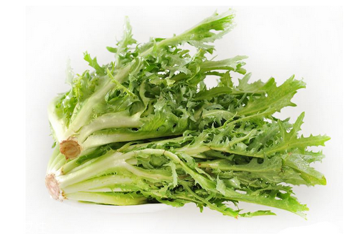 苦菊小孩能吃嗎？小孩吃苦菊促進(jìn)腦部發(fā)育