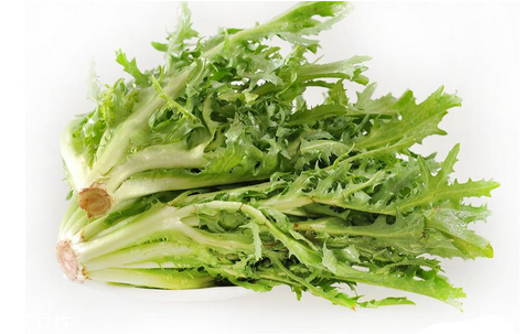 苦菊涼拌用開(kāi)水焯水嗎？苦菊涼拌才好吃