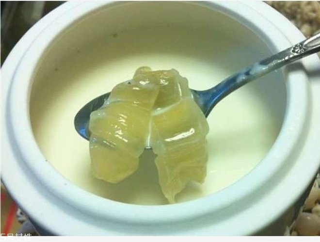 花膠燉牛奶的功效與作用？保養(yǎng)皮膚效果好