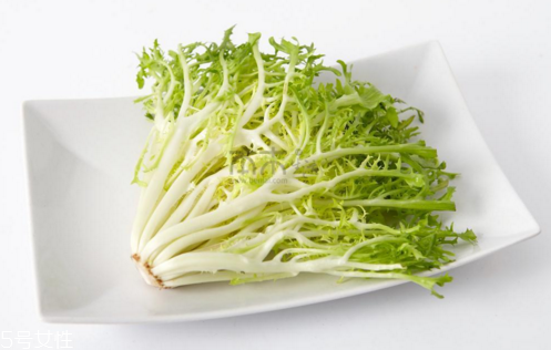 苦菊能減肥嗎？苦菊的各式做法