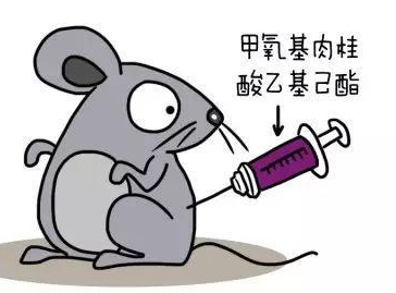 自然堂隔離霜孕婦可以用嗎？含有孕婦禁用成分