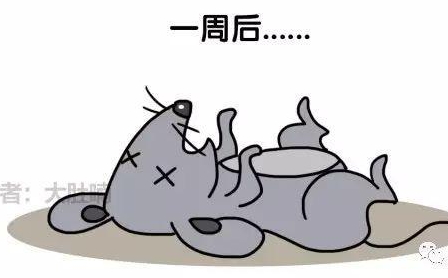 自然堂隔離霜孕婦可以用嗎？含有孕婦禁用成分
