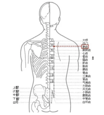 風寒咳嗽怎么治？內(nèi)外兼修很管用