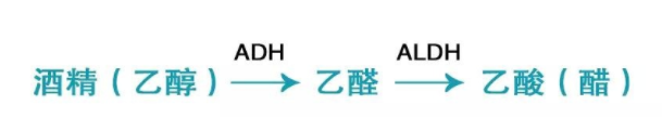 喝酒致癌的真相是什么？乙醛致癌太可怕
