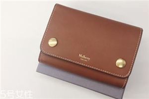 mulberry錢包多少錢？celine平價(jià)替代