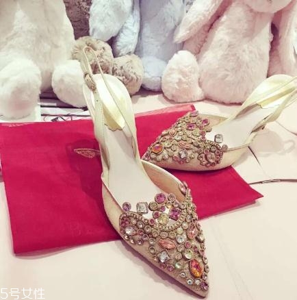 rene caovilla是奢侈品嗎？美到讓人產(chǎn)生錯(cuò)覺